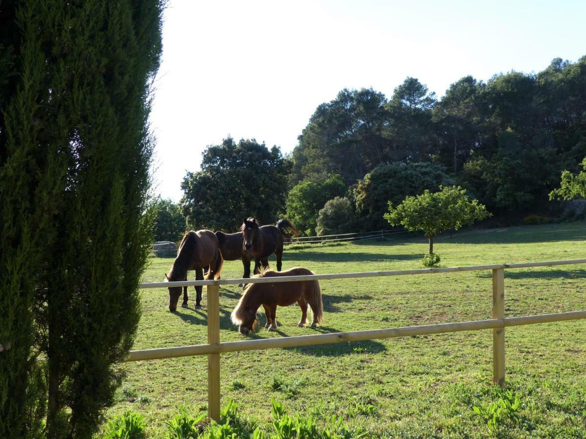 Domaine Des Bruguieres Villa Entrecasteaux ภายนอก รูปภาพ